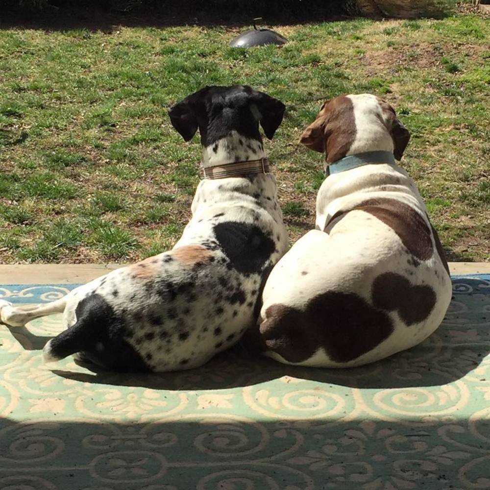 Meet your Posher, Jamie